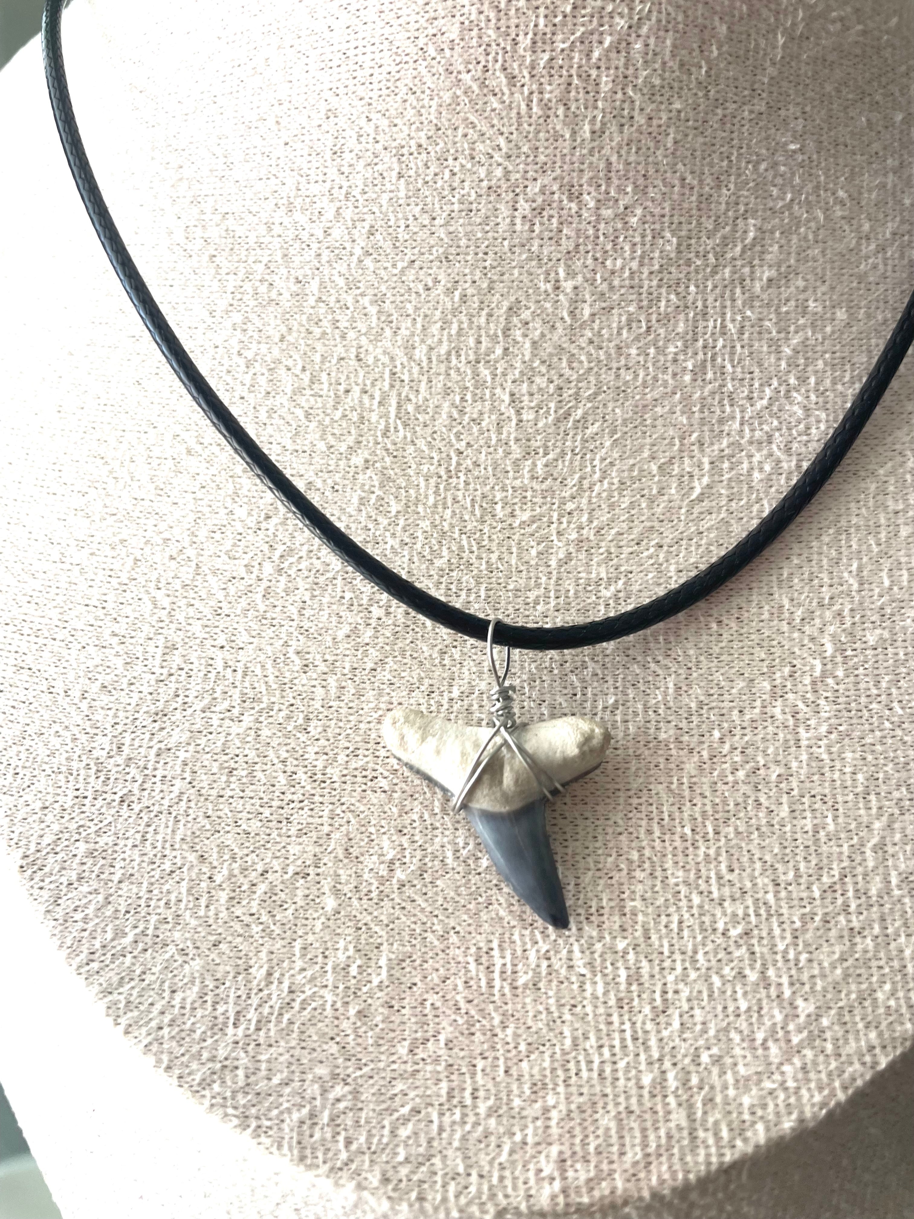 Shark Tooth Necklace
