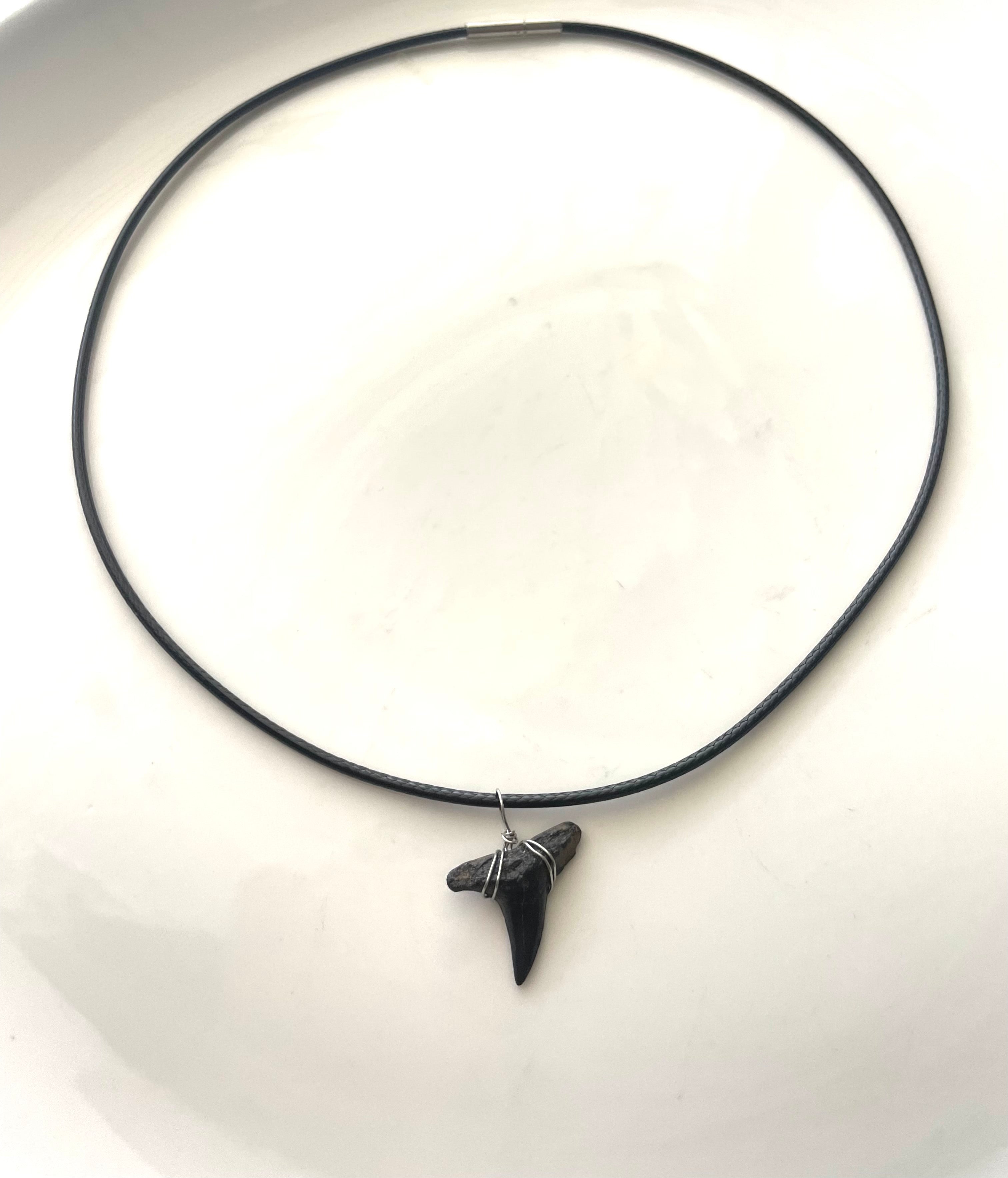 Shark Tooth Necklace
