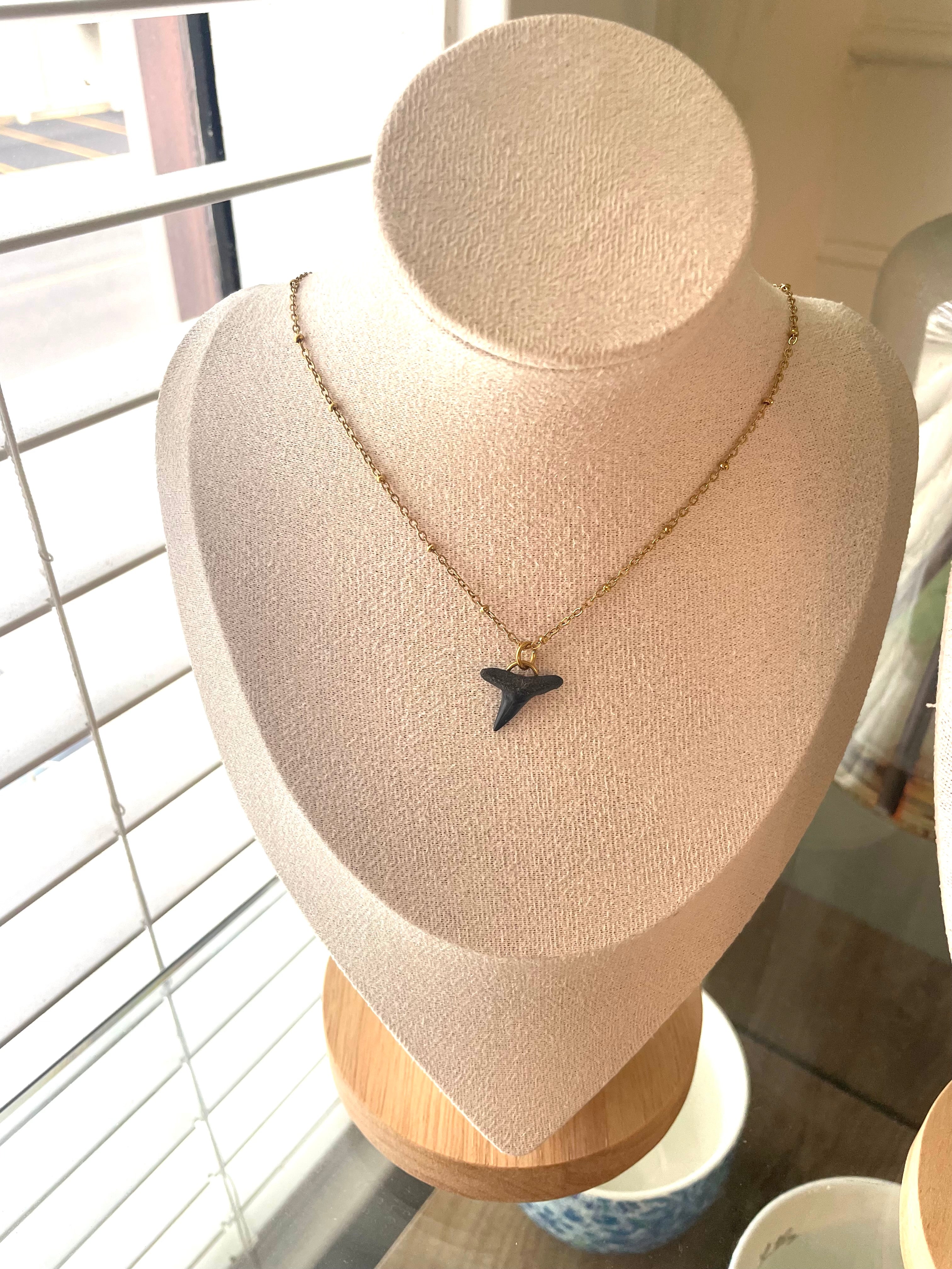 Necklace with a shark tooth pendant on a bust in front of a window