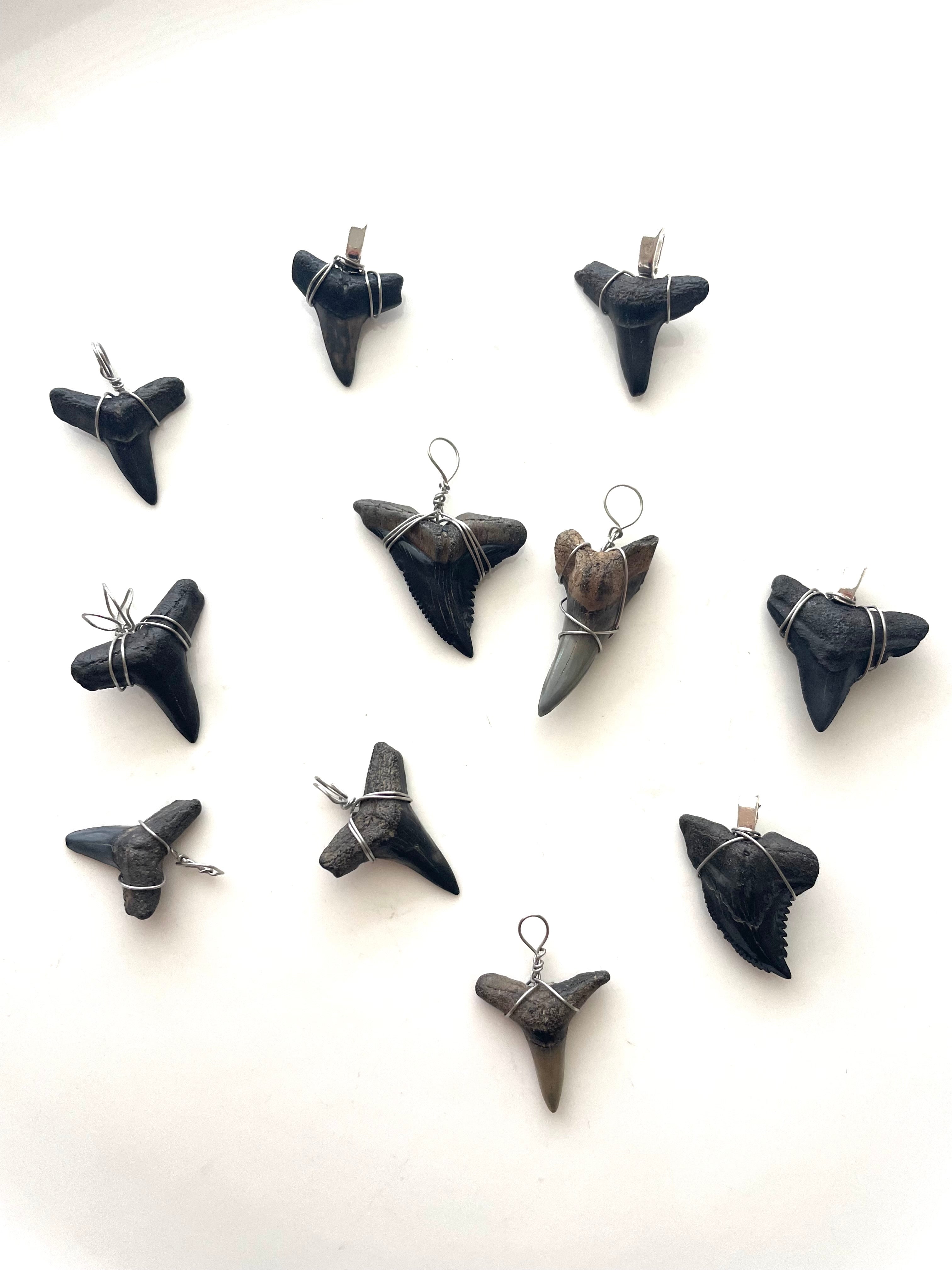Shark Tooth Necklace