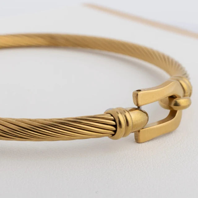 Twisted Cable Buckle Bangle Bracelet close up on white background