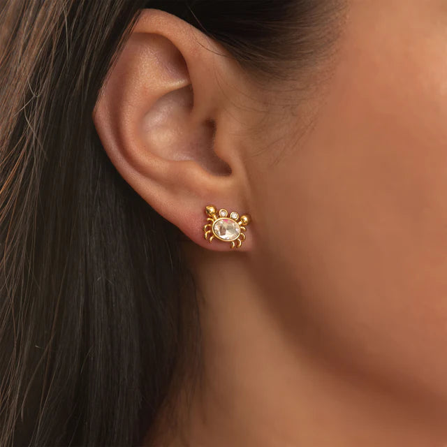 Crab Stud Earrings
